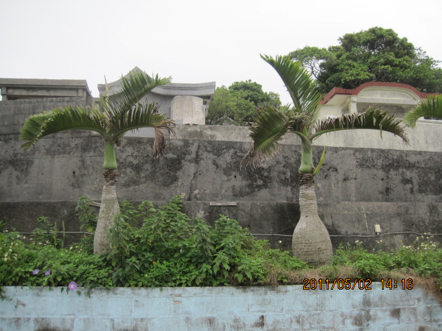 売墓地　西原町森川