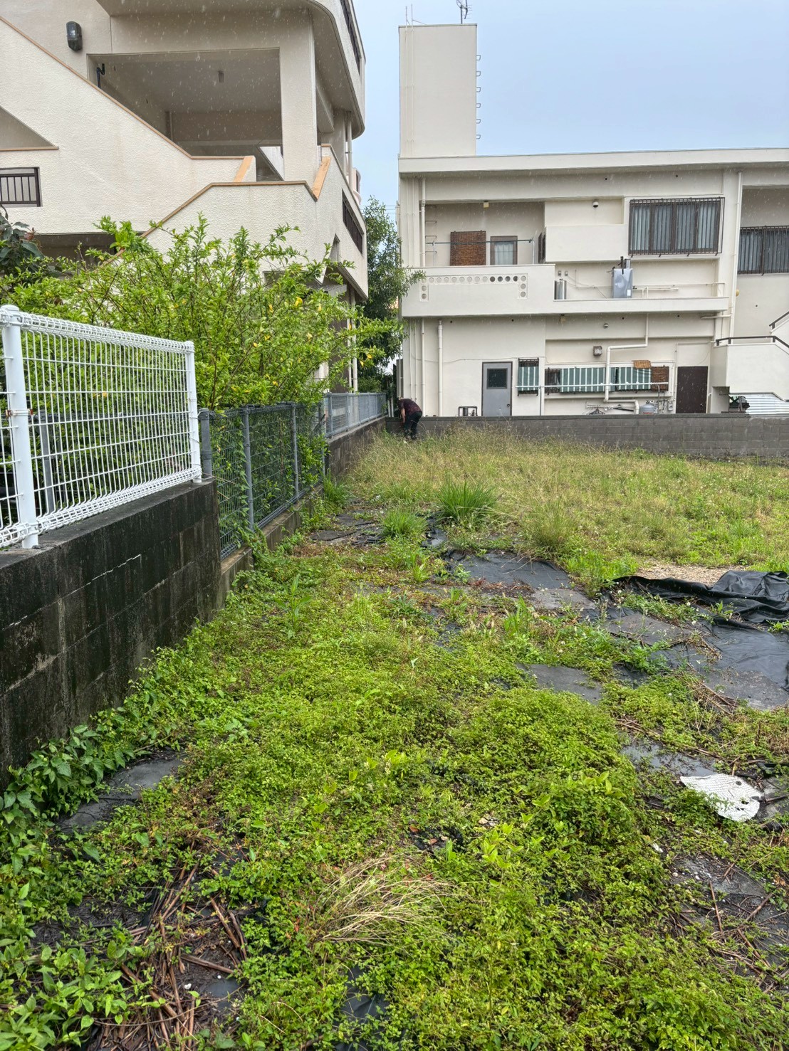 売土地 沖縄市泡瀬参考画像4